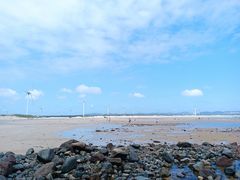 -长江澳风力发电景观区