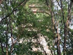 -玲珑塔公园