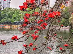 -东山湖公园