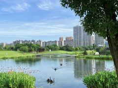 -李自健美术馆