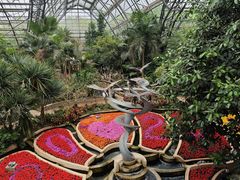 -南山植物园
