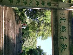 -青龙山公园