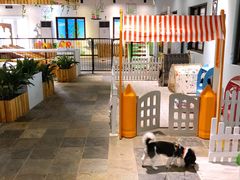 -太阳岛度假酒店