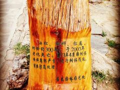 iphone_upload_pic-普陀宗乘之庙(小布达拉宫)
