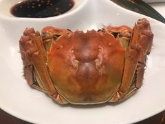 -顺峰(农展馆店)