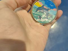 -海合安武汉极地海洋公园