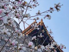 -东华门大街小区