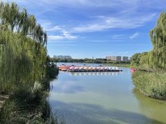 -大兴滨河森林公园