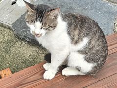 -西溪南古村落