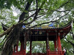 -乌山风景区