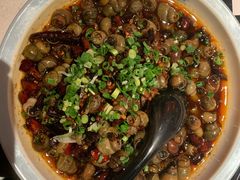 香辣螺丝-红盔甲·小龙虾(天钥桥店)