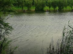 -永定河休闲森林公园