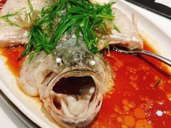 清蒸鲈鱼-至潮餐厅精致粤菜·活鲈鱼·走地鸡(珠江新城店)