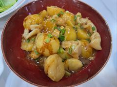 花胶仔烧土豆-明本湛江鸡•海鲜小厨(陈家祠店)