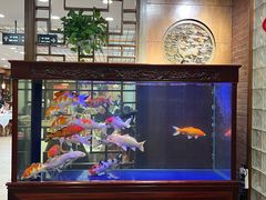 -庐州太太(鼓楼店)