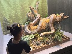 -武汉园博园(武汉自然博物馆)