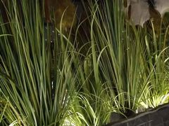 -味界·精致赣菜(招商花园城店)