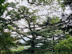 -香山公园
