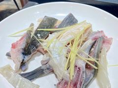 -港升鱼师傅·中山脆肉鲩