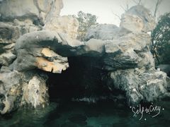 -苏州湾王焰温泉度假酒店