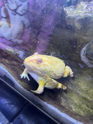 -酷嗒动物文化乐园(cutezoo西溪乐天城店)