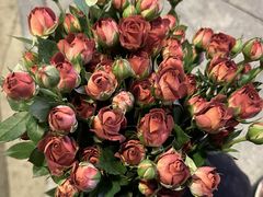 -循礼门鲜花花市(武汉循礼门店)