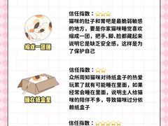 -翊宠yipet猫狗购宠庄园犬舍•猫舍