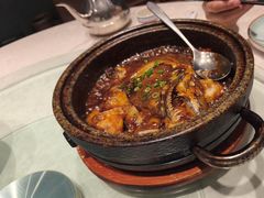 -海派美食·家宴海鲜青岛菜·石锅鲽鱼头(东方城店)