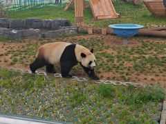 -秦皇岛野生动物园