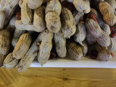 -熊在烤肉烧烤店(林荫店)