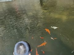 -雁荡山三折瀑景区