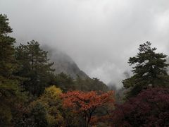 -塔川景区