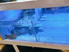 -王捌小院(红花坡店)