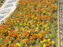 -天津盘山风景名胜区