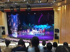 -澜沧江湄公河之夜歌舞篝火晚会