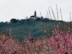 -苏州上方山国家森林公园
