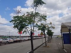 -胜华驾校·小猫学车(银都店)