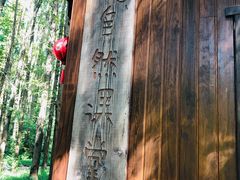 -同里国家湿地公园