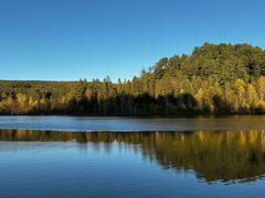-五营红松林海景区