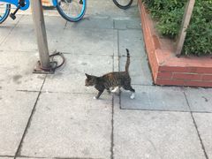 -仟吉(沿港路店)