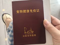 -派联宠物医院·24h·CT·异宠