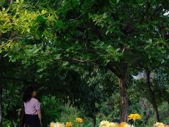 -白塘生态植物园