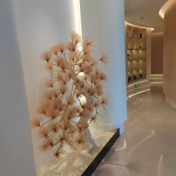 -雅荷悦来双美