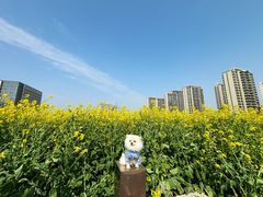 -梁祝景区
