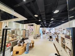 -藏猫猫咖啡主题馆(中央大道店)