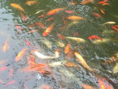 -陈云纪念馆