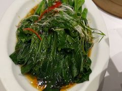 -眉州东坡(民族园店)