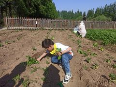 -前小桔亲子创意农场·草莓采摘·露营烧烤