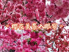 -昆明动物园