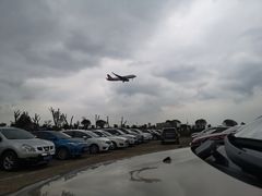 -空港花田景区